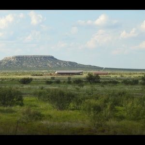 Meet your Posher, Johnny